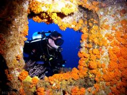 Wreck of the Hydro Atlantic, Pampano beach FL by Becky Kagan 